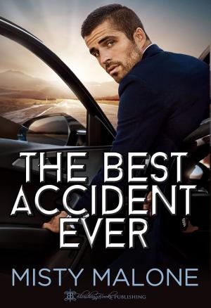 Cover of the book The Best Accident Ever by Mariella Starr