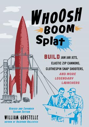 Cover of the book Whoosh Boom Splat by Anita Miller, Jordan Miller, Sigalit Zetouni