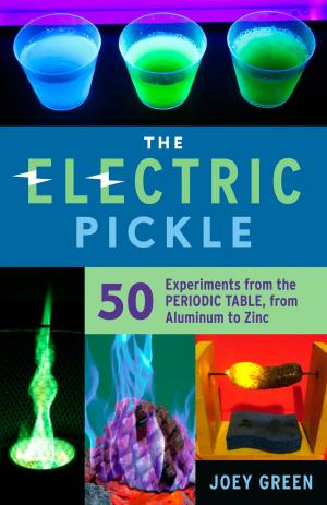 Cover of the book Electric Pickle by Hella S. Haasse, Anita Miller
