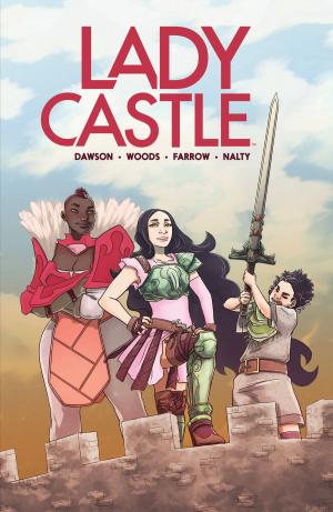 Book cover of Ladycastle