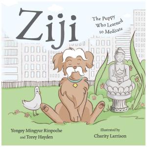 Cover of the book Ziji by His Holiness the Dalai Lama, Thubten Chodron