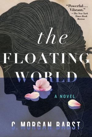 Cover of the book The Floating World by Clyde Edgerton