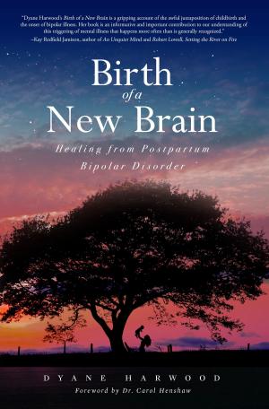 Cover of the book Birth of a New Brain by Jeff Ryan