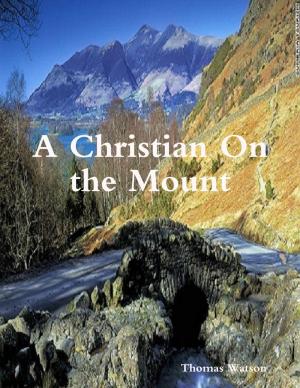 bigCover of the book A Christian On the Mount by 