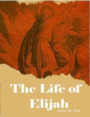 bigCover of the book The Life of Elijah by 