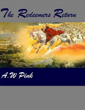 Cover of the book The Redeemers Return by Arthur W. Pink