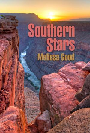 Cover of the book Southern Stars by J.S. Frankel
