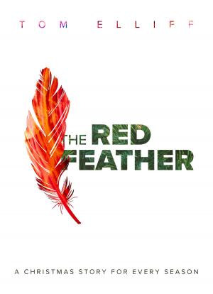 Book cover of The Red Feather