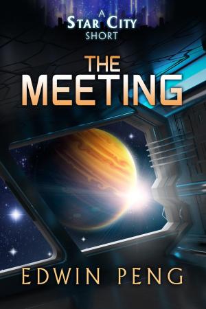 Cover of the book The Meeting by D. Robert Pease