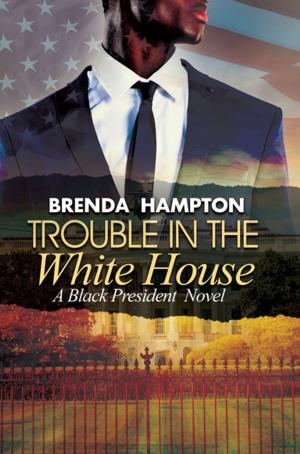 Cover of the book Trouble in the White House by Colette R. Harrell