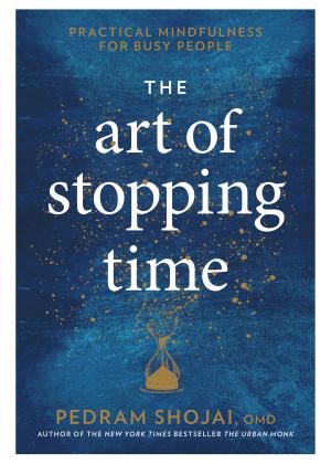 Book cover of The Art of Stopping Time