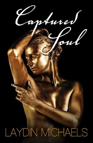 Cover of the book Captured Soul by A. Rose Mathieu