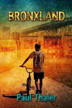 Cover of the book Bronxland by Richard Godwin