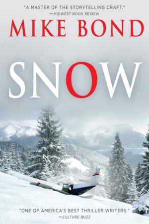 Cover of the book Snow by Gerald Everett Jones