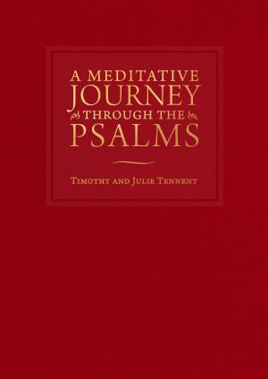 Book cover of A Meditative Journey through the Psalms