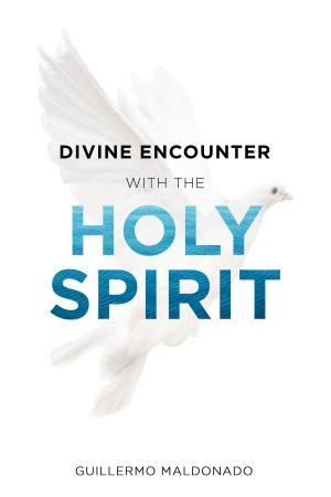 Cover of the book Divine Encounter with the Holy Spirit by H. A. Maxwell Whyte