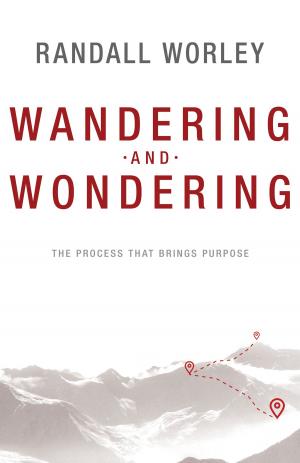 Cover of the book Wandering and Wondering by Kynan Bridges