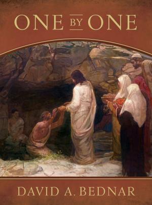 Cover of the book One by One by Clark L. Kidd