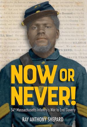 Cover of Now or Never!