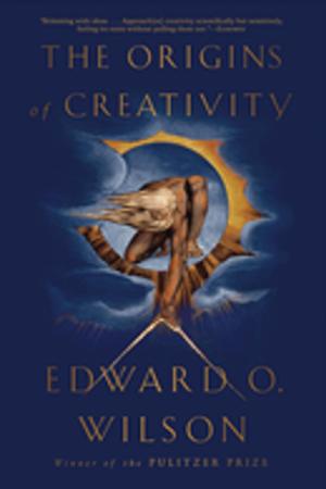 bigCover of the book The Origins of Creativity by 