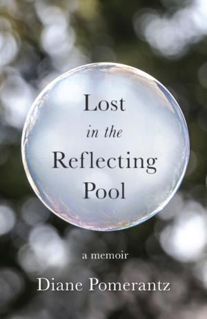 Cover of the book Lost in the Reflecting Pool by Deb Brandon