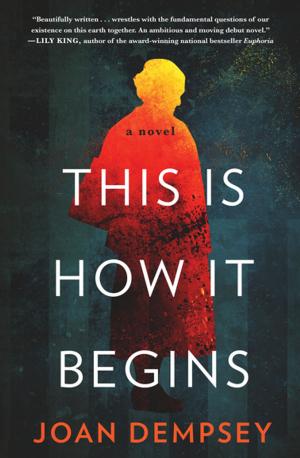 Cover of the book This Is How It Begins by Sande Boritz Berger