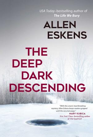 bigCover of the book The Deep Dark Descending by 