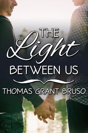 Cover of the book The Light Between Us Box Set by Deirdre O’Dare