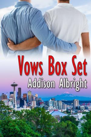 Cover of the book Vows Box Set by Richard Crasta
