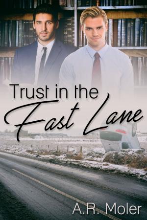 Book cover of Trust in the Fast Lane