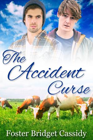 Cover of the book The Accident Curse by A.R. Moler