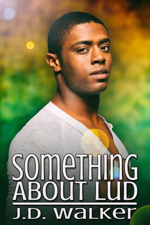 Cover of the book Something About Lud by J.M. Snyder