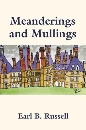 Cover of the book Meanderings and Mullings by Le blagueur masqué, Dites-le avec une blague !