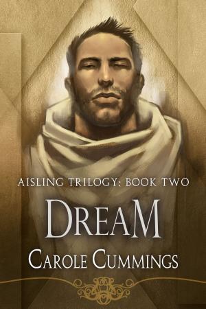 Cover of the book Dream by SJD Peterson