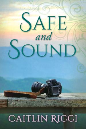 Cover of the book Safe and Sound by C.S. Poe