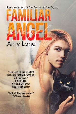 Cover of the book Familiar Angel by A.J. Marcus, Nicole Godfrey