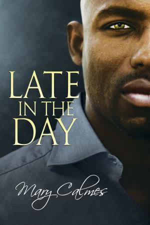 Book cover of Late in the Day
