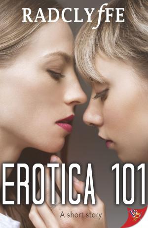 Cover of the book Erotica 101 by Michelle Larkin