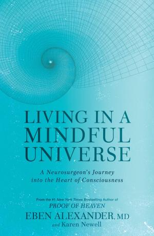 Book cover of Living in a Mindful Universe