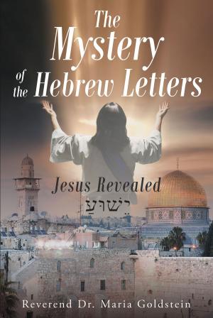 bigCover of the book The Mystery of the Hebrew Letters by 