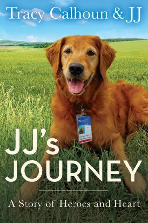 Cover of the book JJ's Journey by Patrick Donovan