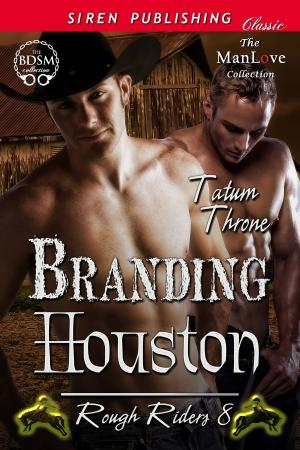 Cover of the book Branding Houston by Kat Barrett