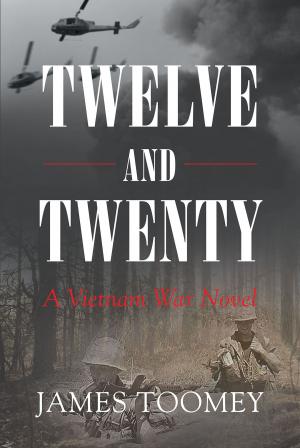 Book cover of Twelve and Twenty - A Vietnam War Novel