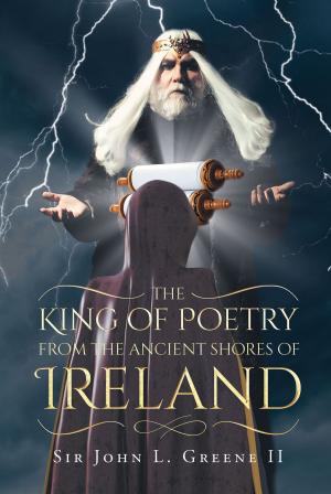 Cover of the book The King of Poetry from the Ancient Shores of Ireland by Kathryn Duvenci