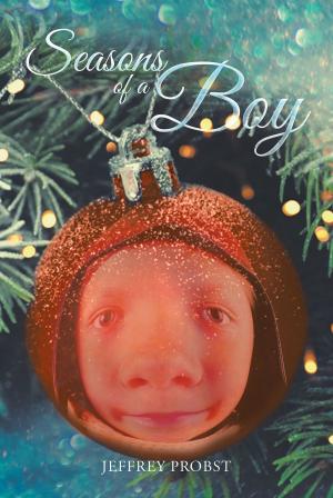 Cover of the book Seasons of a Boy by Dana Harlow