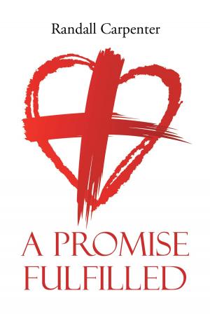 Cover of the book A Promise Fulfilled by Donna Lee Tufts