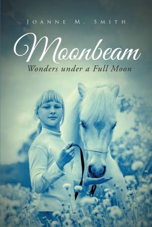 Cover of the book Moonbeam by Steve Ebner