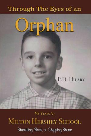 Cover of the book Through the Eyes of an Orphan by Richard M. Ross