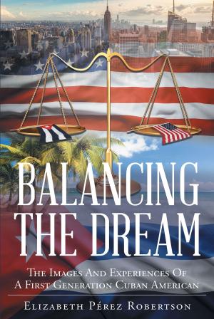 Cover of the book Balancing the Dream by Kenny Higgins