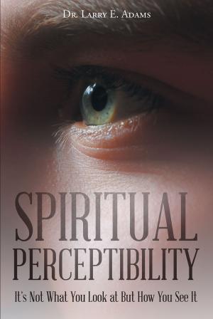 Cover of the book Spiritual Perceptibility by Jen Leong